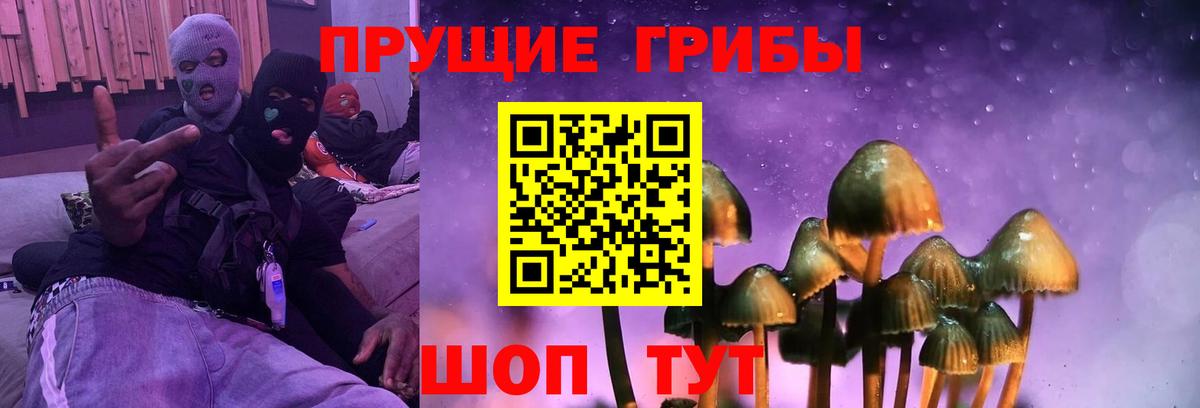 Псилоцибиновые грибы MAGIC MUSHROOMS Ачинск